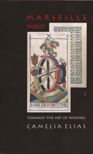 Towards the Art of Reading by Camelia Elias book cover