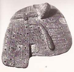 Clay model of liver from Mesopotamia