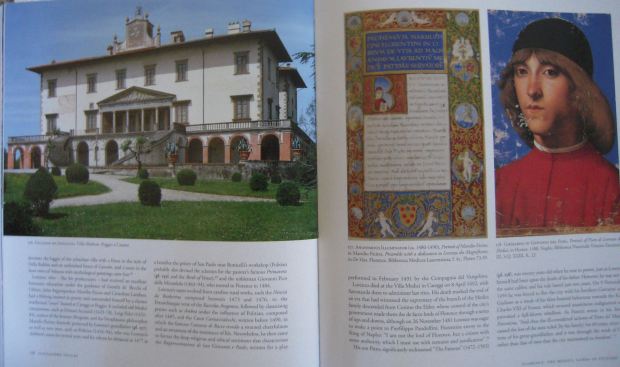 Courts and courtly arts book